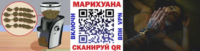 Canna-Cookies конопля  Купить где  Кедровый 