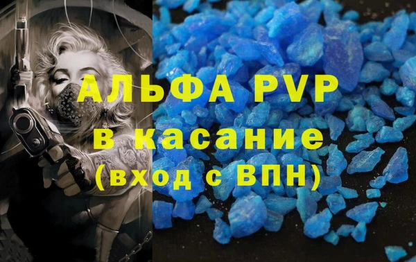 эйфоретик Ельня
