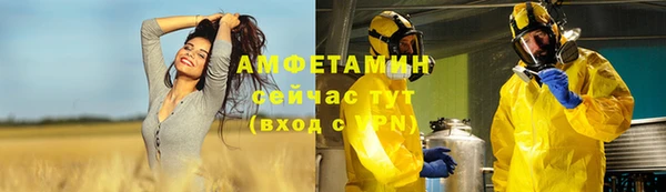 эйфоретик Ельня