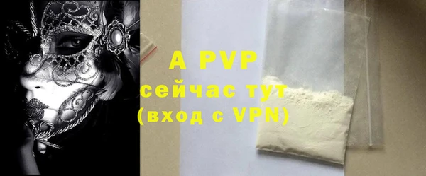 эйфоретик Ельня