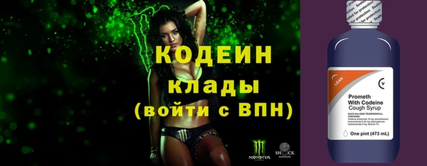 эйфоретик Ельня