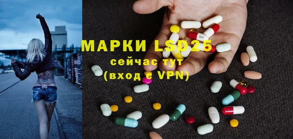 мет Елабуга