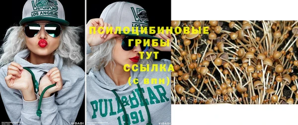 мет Елабуга
