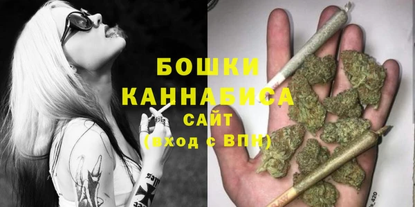 эйфоретик Ельня
