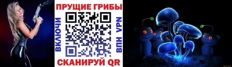 Галлюциногенные грибы MAGIC MUSHROOMS  Купить закладки  Кедровый 